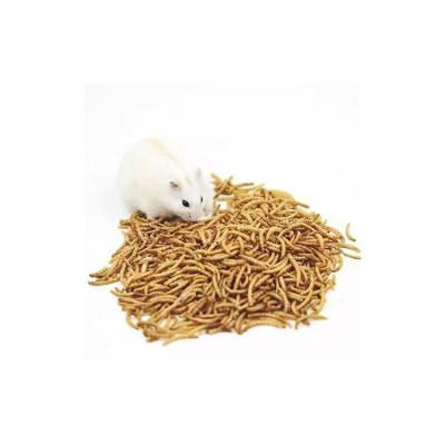 China China Manufacturer Bulk Chicken Feed Export-Grade Viable Dry Bird Food Dried Mealworms for sale