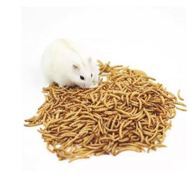 China Export-Grade Sustainable Bulk Bird Food High Protein Worm Forage Dried Mealworms Reasonably Priced for sale