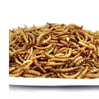 China Sustainable Multifunctional Export-Grade High Protein Forage Bird Food Dried Mealworms For Chickens for sale