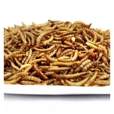 China Cheap and High Quality Sustainable Export-Grade High Protein Freeze Forage Dry Bulk Bird Food Dried Mealworms for sale