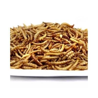 China Viable Sale High Protein Forage Export-Grade High Quality Bird Food Dried Mealworms For Birds for sale