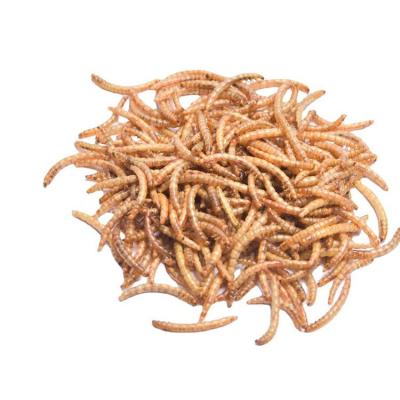 China China Manufacture Quality Export-Grade High Protein Forage Sustainable Bulk Bird Food Dried Mealworms for sale