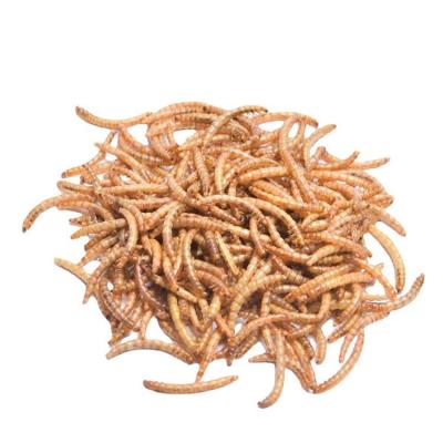 China 2022 Viable Hot Selling Bulk Bird Food Export-Grade Dried Mealworms High Protein Food Forage for sale