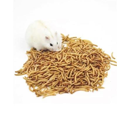 China New Viable High Quality Export-Grade High Protein Forage Bird Food Dried Mealworms for sale