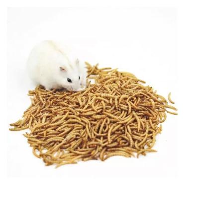 China Top Hot Sale Viable Mealworm Breeding Bulk Export-Grade High Protein Forage Dried Mealworms for sale