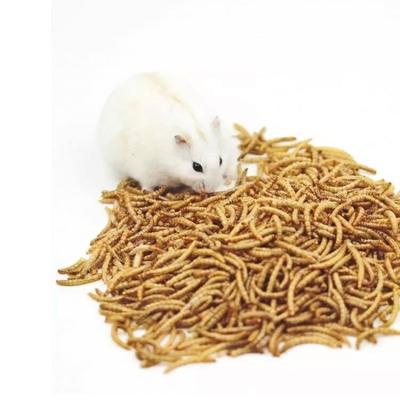 China China Factory Price Bulk Viable Manufacturer Dried Export-Grade High Protein Forage Bird Food Dried Mealworms for sale