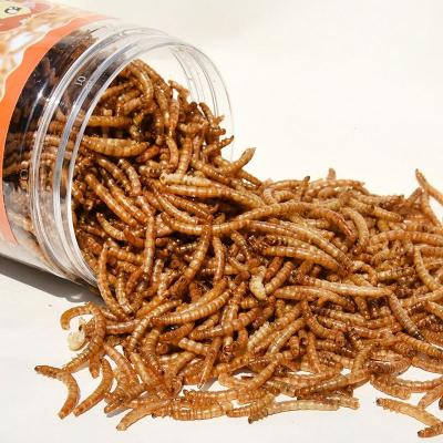 China New Arrival High Protein Forage Sustainable Price Best Price Export-Grade Bird Food Dried Mealworms For Birds for sale