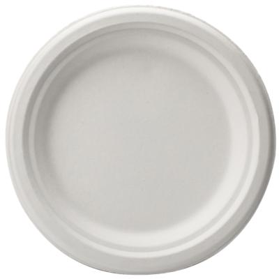 China Bagasse Biodegradable Biodegradable Disposable Soup Dish For Food 3 Compartment Dish For Party for sale