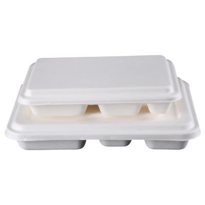 China Eco Friendly Biodegradable Disposable Food Sugarcane Bagasse Pulp Lunch Box Container Compartment for sale