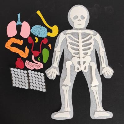 China Safe New Art Teaching Miniature Simulated Human Skeleton Toy for sale