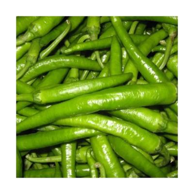 China Dried Practical Hot Sale Price Of Red Fresh Chili In Bulk Bell Pepper Green Paprika With Good Service for sale