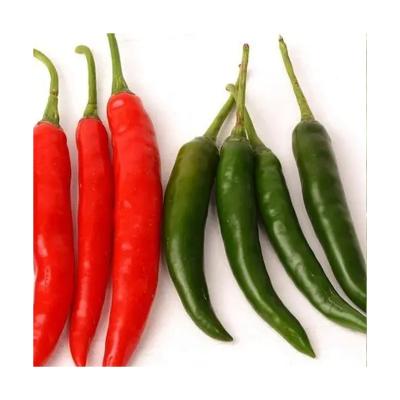 China Dried Green Peppers Dried Chilli Hot Selling Price Of Red Fresh Chili Pepper In Bulk With Fast Shipping for sale