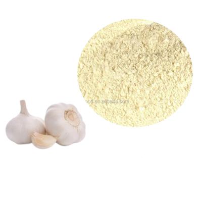 China Dried New crop hot selling excellent quality organic dehydrated garlic powder for sale