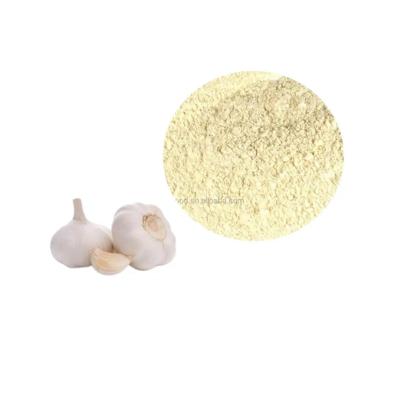 China Dried Professional Manufacturer Dehydrated Minced Dried Dehydrated Garlic Organic With Wholesale Inventory for sale