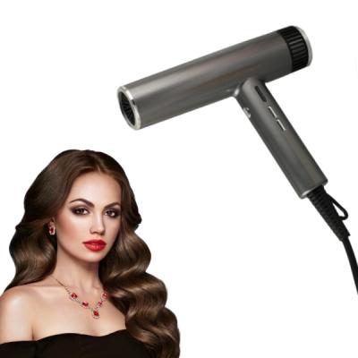 China Ionic High Quality Fashion Colors Direct Current Customized Professionally Engine Standup Hair Dryer for sale