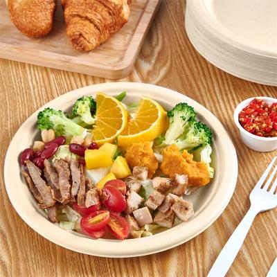 China 9 Inch Heavy-Duty 100% Compostable Plates Eco-Friendly Disposable Sugarcane Paper Plates for sale