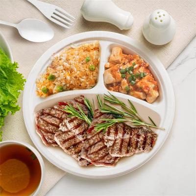 China High Quality Biodegradable Disposable Restaurant Sugarcane Plates 9 Inch Dishes Paper Plates for sale