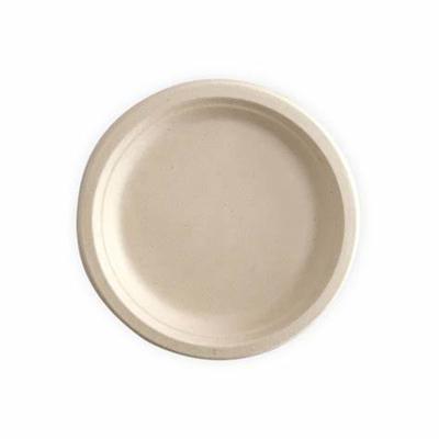 China Custom Service Sugarcane Bagasse 100% Compostable Oval Dish Plates for sale