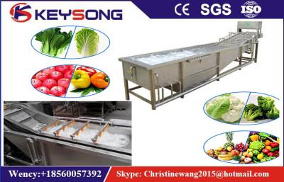 China Rooted Plant Fruit And Vegetable Processing Machinery Washing Equipment  Large Capacity for sale