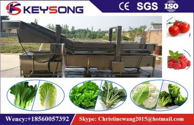 China Industrial Bubble Vegetable Washer Machine , Big Capacity Vegetable Processor Machine for sale