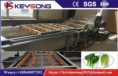 China Strawberry Cherry  Fruit Washing Machine , Carrot Commercial Vegetable Washer for sale