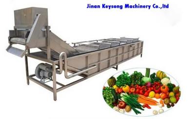 China Fresh Fruit And Vegetable Processing Machinery Cleaning Equipment High Efficiency for sale