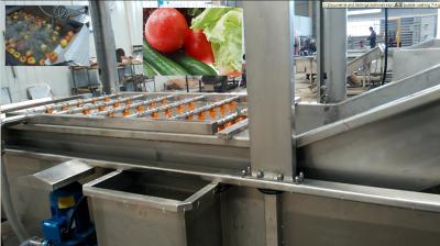 China Full Automatic Apple Processing Equipment , Fruit And Vegetable Washer Machine for sale