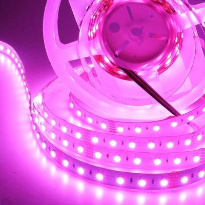 China Hot Selling LANDSCAPE Dimmable Color Changing Rgbw Strip Led Lightweight Dc24v Waterproof Non Ip20 4 In 1 Flex Round Led Rgbw for sale