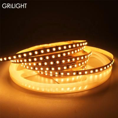 China LANDSCAPE DC12V waterproof cool white warm white SMD2835 12w par wire strip light par 2835 led strip light multimeter for sale