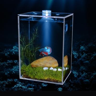 China Hot Manufacturers Supply Factory Sale Large Stocked Acrylic Outside Acrylic Fish Tanks Glass Aquarium for sale