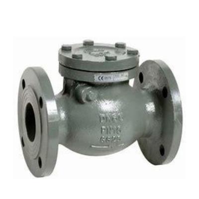 China Industrial Usage China Valve High Quality API ISO SGS GB Standard Pn20/50/110/150/260/420 Butt Weld Cast Steel Pressure Seal Swing Check Valve for sale