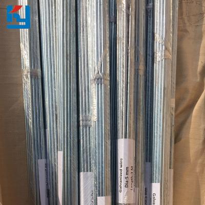 China Factory Directly Sale Binding Straight Cut Steel Wire Hot Dip Galvanized Cut Wire for sale