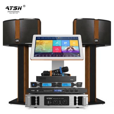 China Wireless System China Factory Family KTV Audio Set Living Room Karaoke Home Theater Home Theater System With 10 & 12 Inch Speakers for sale