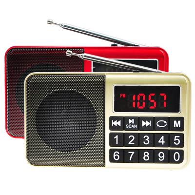 China Dewant L-238SW portable radio PORTABLE multiband switches am fm usb for sale