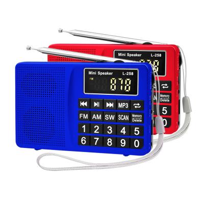 China Dewant L-258 PORTABLE MP3 Music Player Portable Speaker All 3band mw/am fm switch radio receiver for sale