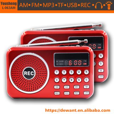 China L-063AM PORTABLE Multiband AM FM Radio Receiver with Voice Recorder, Mini Pocket AM FM Digital Radio for sale