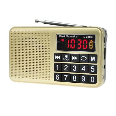 China Dewant L-238B MP3 PORTABLE Music Player USB FM Mini Digital Radio with Built-in Speaker for sale