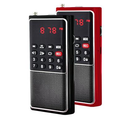 China Dewant L-338 PORTABLE FM Portable Radio with MP3 Player Voice Recorder for sale