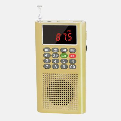 China Dewant L-358 PORTABLE mini digital pocket fm portable radio with voice recording function for sale