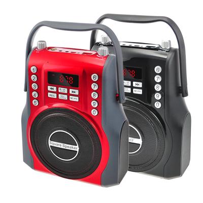 중국 Dewant L-398 USB BT FM PORTABLE Radio Recorder with record function 판매용