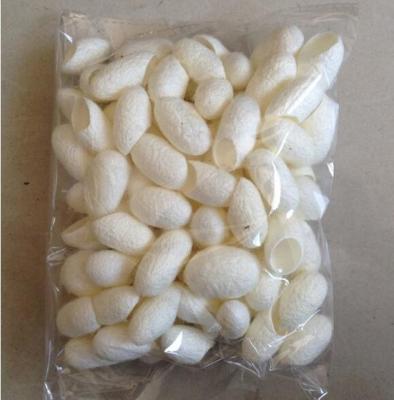 China Skin Care Top Wholesale Natural Cutting Grade Cocoon Silkworm Cocoon for sale