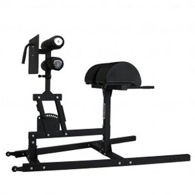 China Indoor Equipment Glute Ham Developer Raise Machine Gym Fitness GHD Bench for sale