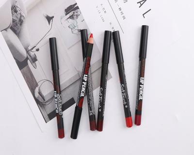 China Customized Waterproof Cruelty Free Pug High No Label Red Lipstick Lipliner Set 12 for sale