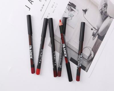 China 2 Waterproof Customizable Colorful Pigmented Roses in 1 Eyeliner & Lip Liner Pencil Set for sale