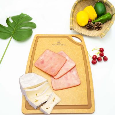 China Viable Durable Plastic Cutting Board Dish Meat Cutting Knife Dish For Cutting Small Meat Chops Dishes for sale