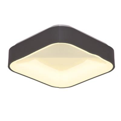 China Hotel Zhongshan Fashion Modern Living Room Acrylic Aluminum Led Ceiling Lamp for sale