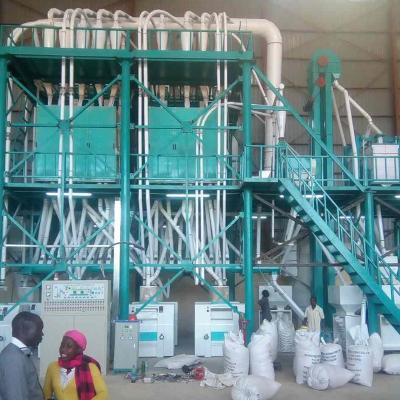 China 200ton/day Factory Semolina Wheat Flour Production Line for sale