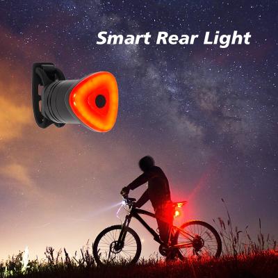 China Bike Rear Accessories Auto On/Off USB Rechargeable Stop Signal Brake Lamp LED Safety Lantern BF-D5 for sale