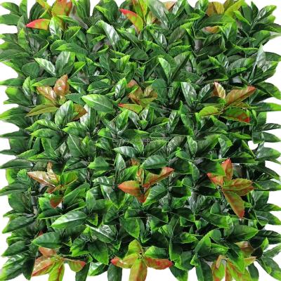 China Free Size Boxwood Hedge Wall De Flores Indoor Plant Customized Artificial Green Flower Panels for sale