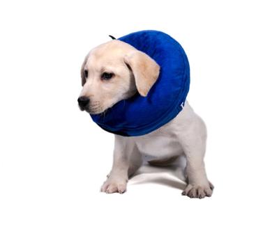 China Waterproof Inflatable E-Collar For Dogs And Cats Soft Pet Recovery Cone Assorted Sizes for sale